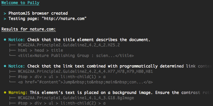 Pa11y command-line output, including a welcome message, a list of commands that have been run, and a list of accessibility issues with the page