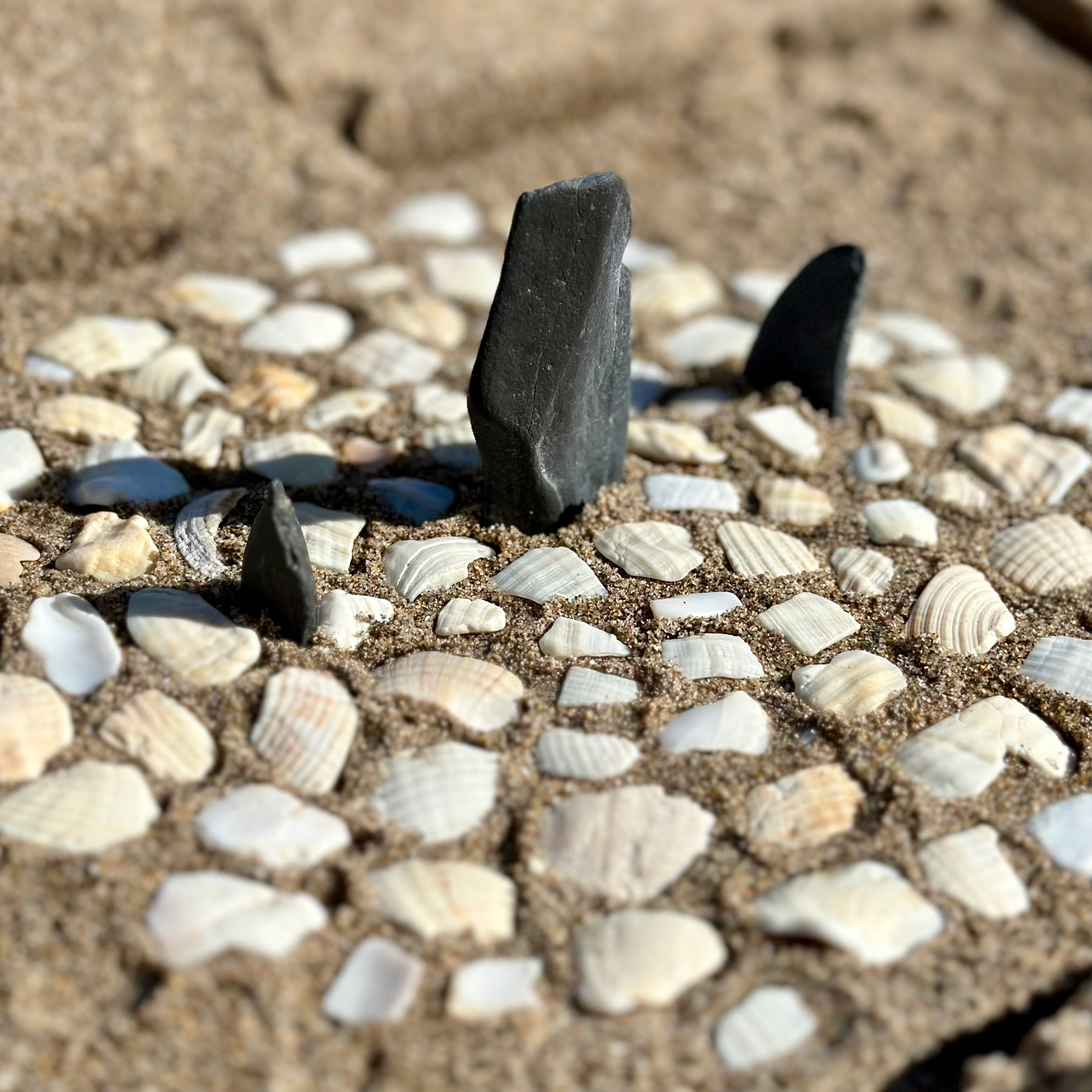 Several pieces of slate poking vertically out of the sand like monoliths, with a circular mosaic of shell fragments surrounding them.