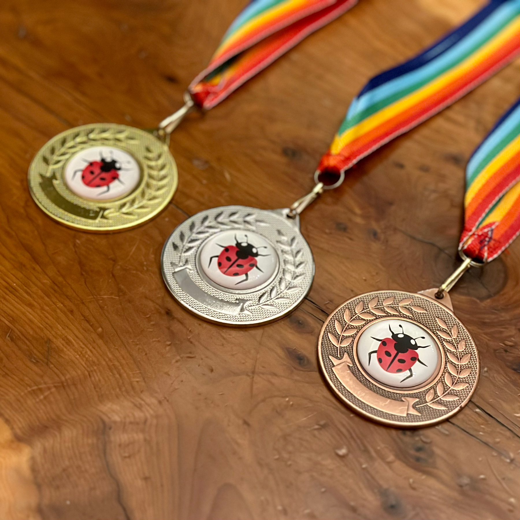 Three medals in gold, silver, and bronze colours. Each medal has a bug emoji in the middle and has a rainbow ribbon attached.