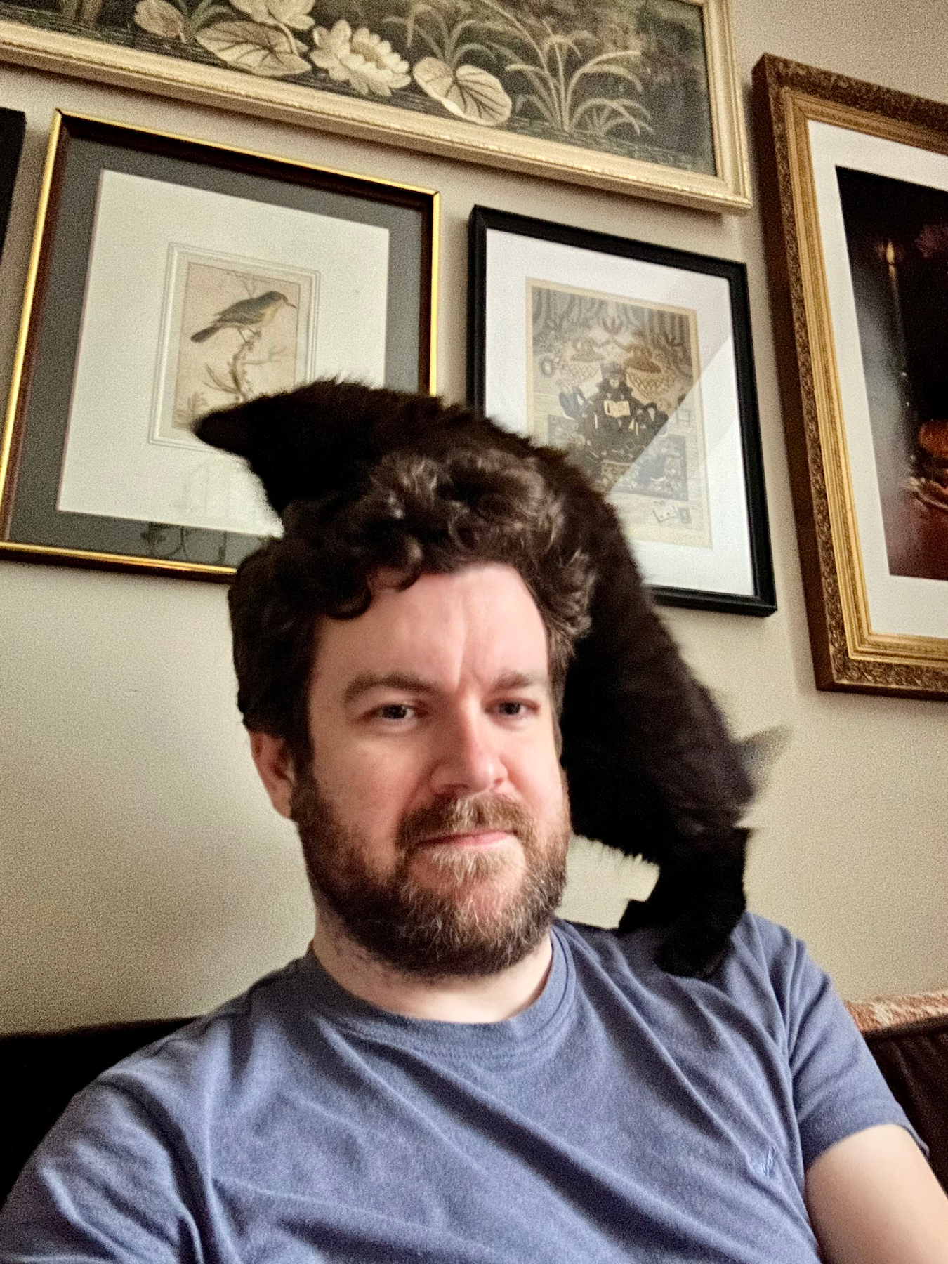 A kitten climbing on my head. I look slightly uncomfortable due to claws digging in