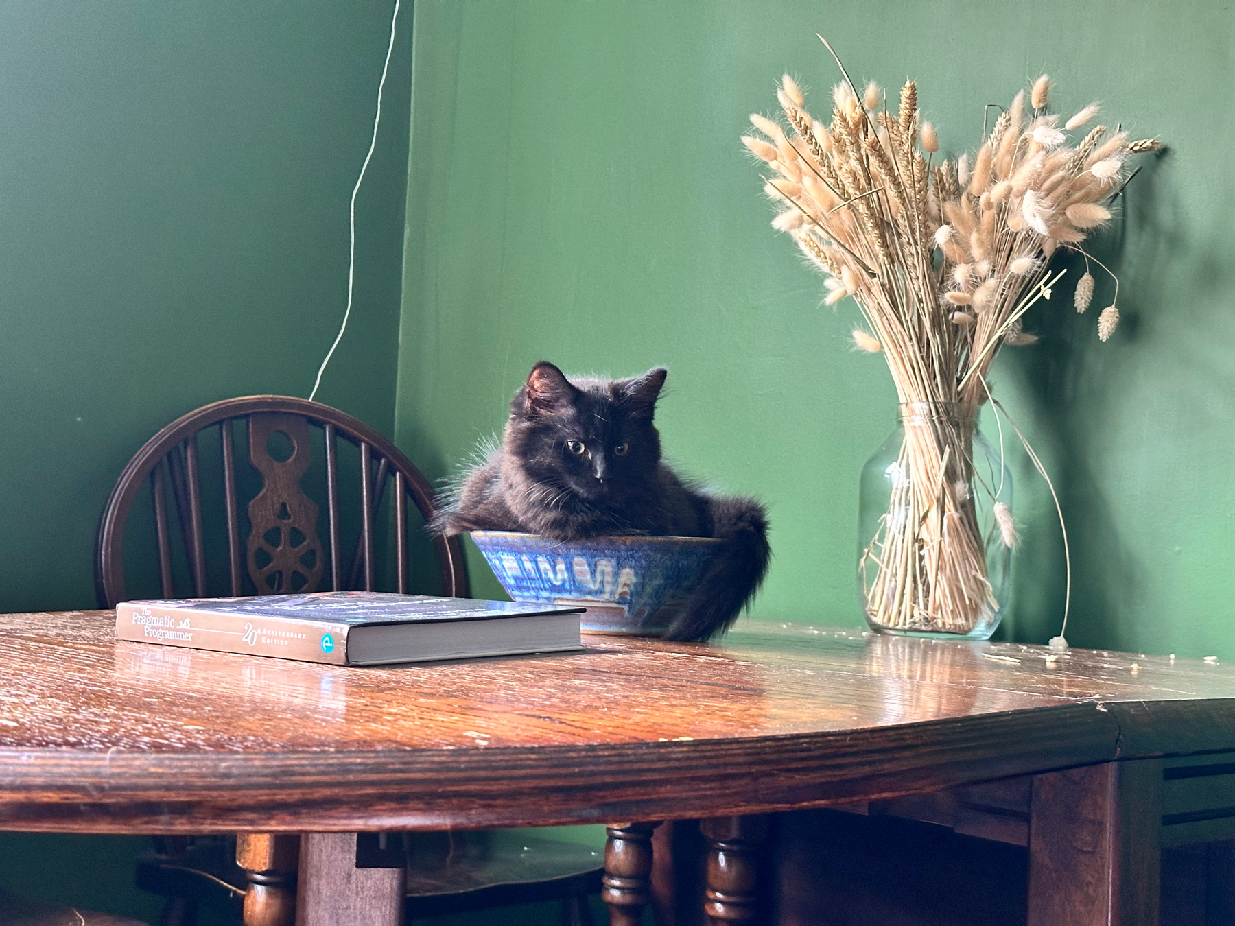 A small fluffy brown-and-black kitten sitting in a bowl that's slightly too small for him