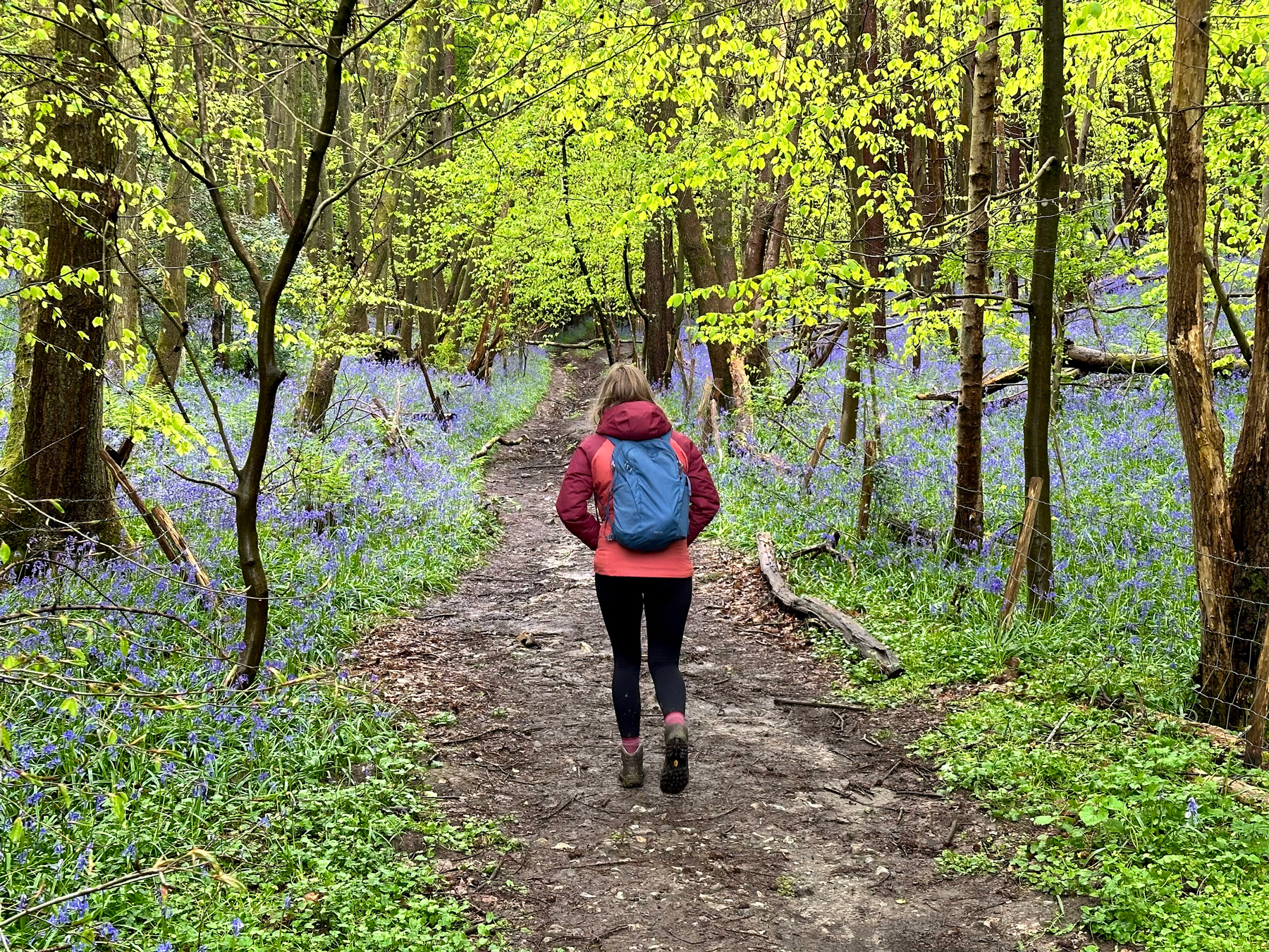 Charlotte walking through a tree tunnel with the wood around us carpeted in bluebells