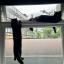 One cat sat up high on the frame of an open window. Another cat dangles helplessly by his front paws, unable to pull himself up