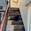 Two small black cats lounging on the stairs, plotting to trip up an elderly woman