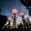 Eight 'supertrees' against the night sky, large artificial trees towering above and adorned with many-coloured lights that highlight the foliage they're covered with