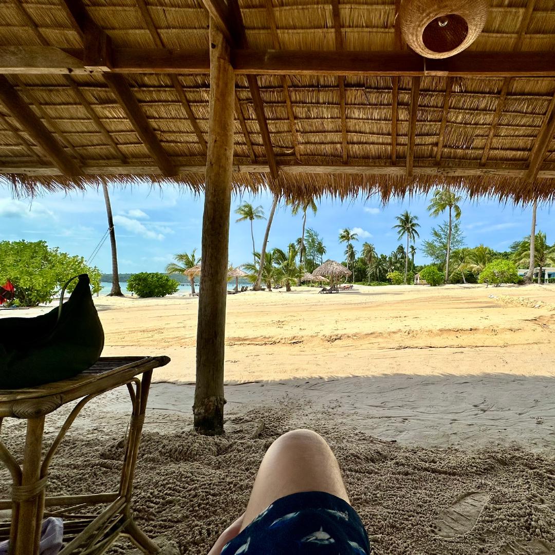 A view over a tropical beach with yellow sand and palm trees
