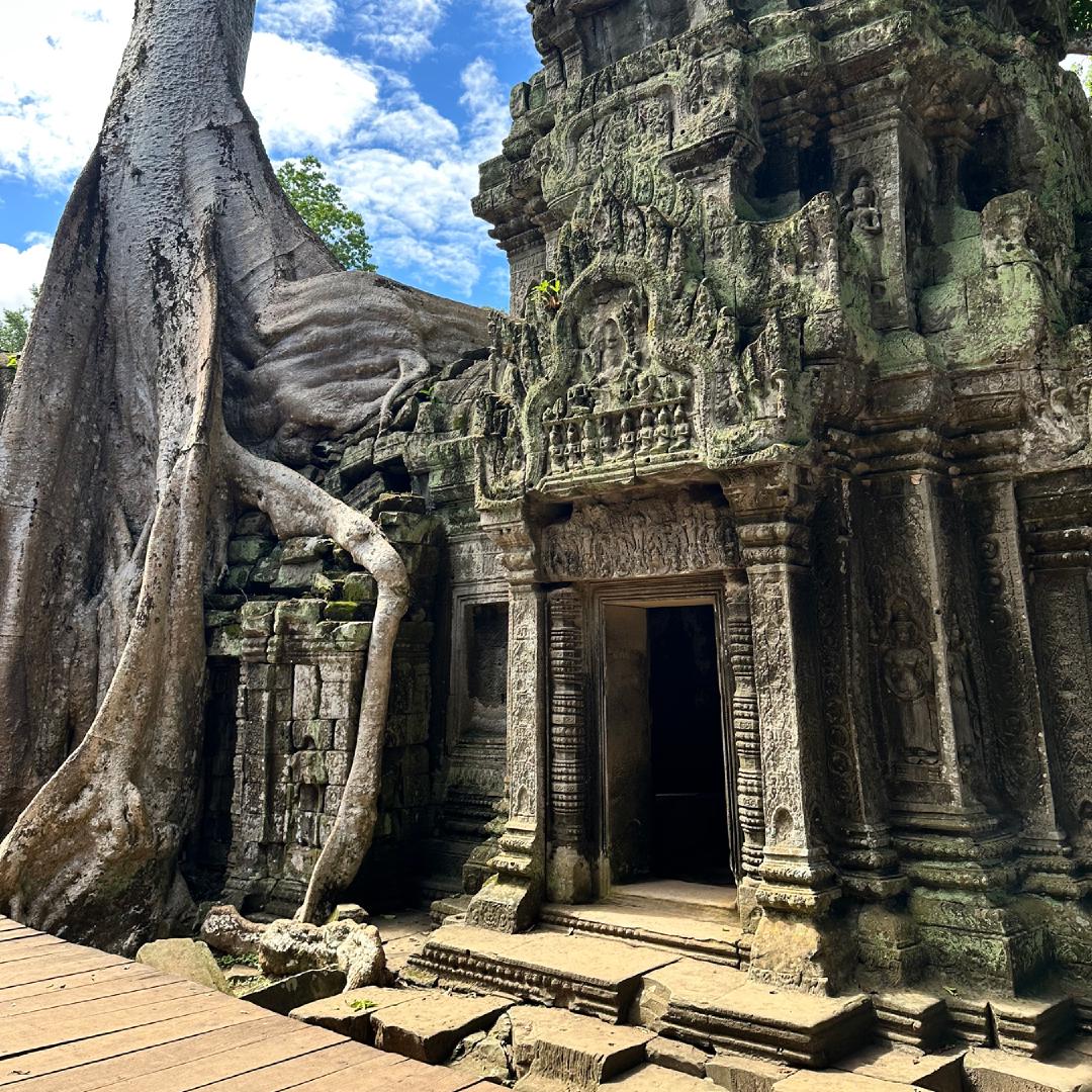 A moss-covered temple ruin with a tree growing through it