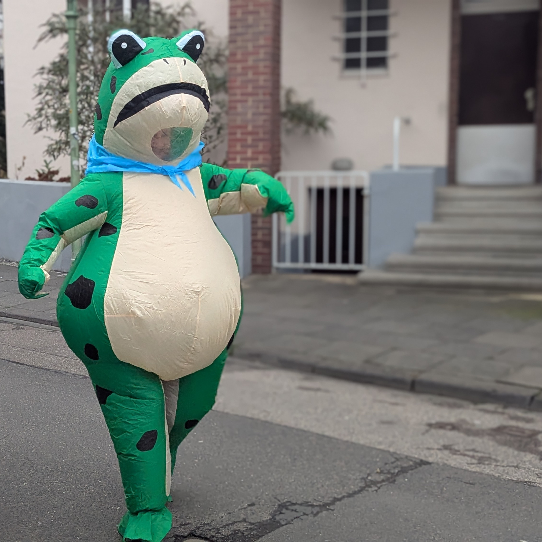 Me dressed as a large inflatable frog, strutting down the street