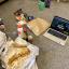 A floor in the new house littered with fish and chips, fizzy drinks, and sweet treats.
