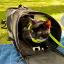 Tootsie sat in his cat carrier peeking out at the park. We're sat on a checked blanked in the sun.