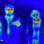 Rowan and Charlotte in blues, greens, and reds. Picture taken by a thermographic camera.