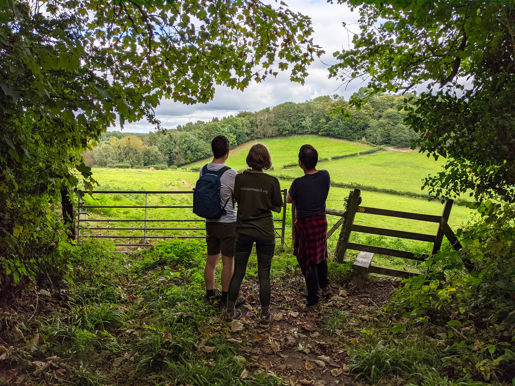 Me, Charlotte, and Luke looking out over some rolling hills full of sheep