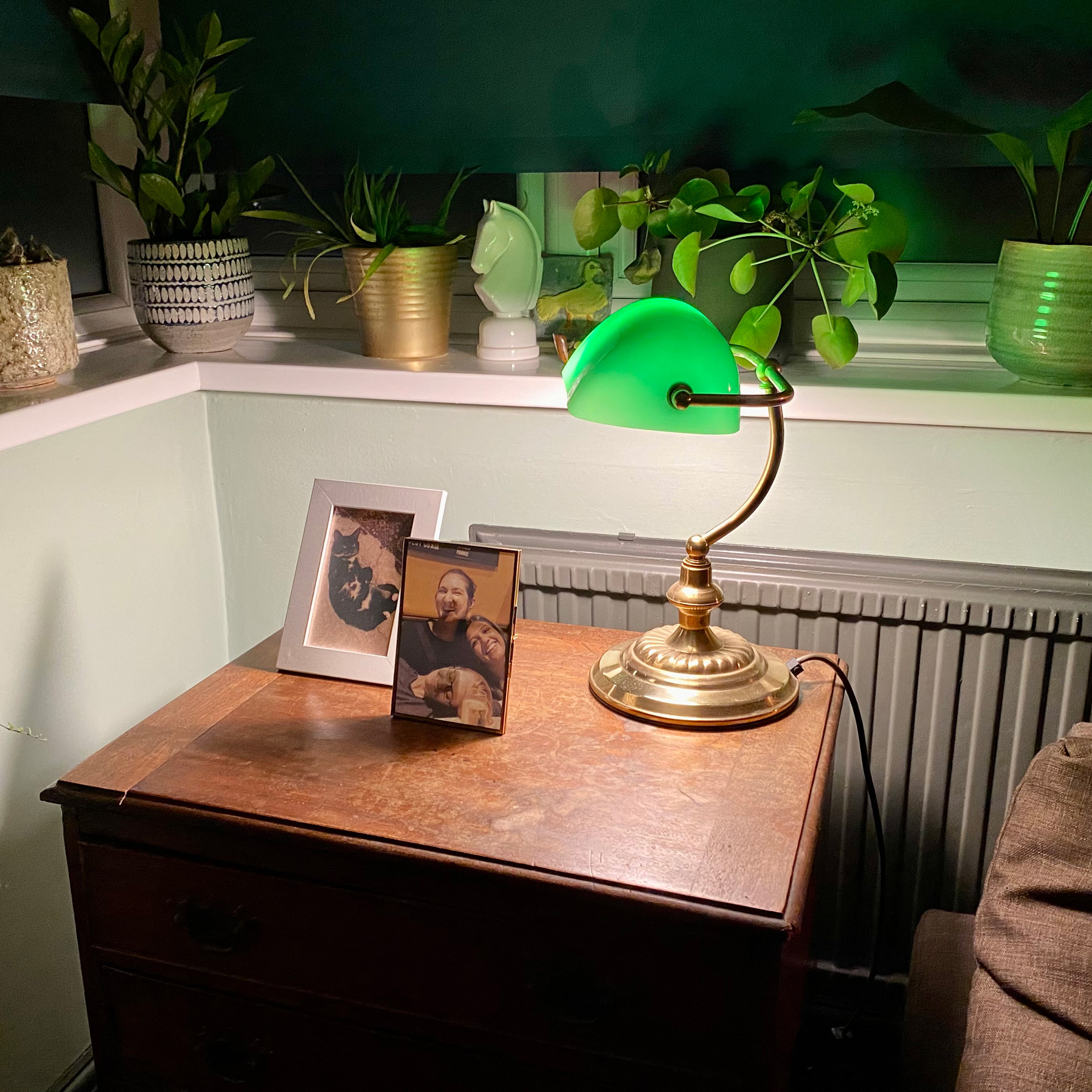 A green and brass bankers lamp.